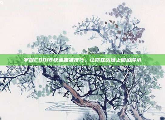 掌握COD16快速瞄准技巧，让你在战场上如鱼得水