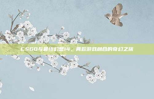 CSGO与最终幻想14，两款游戏融合的奇幻之旅