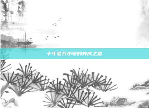 十年老兵小号的养成之道