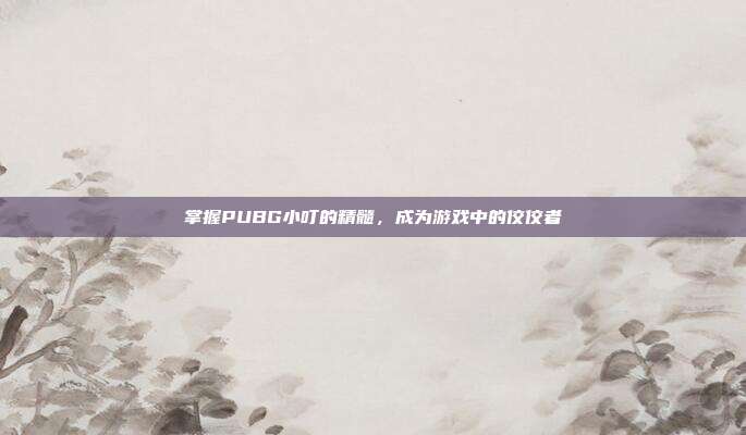 掌握PUBG小叮的精髓，成为游戏中的佼佼者