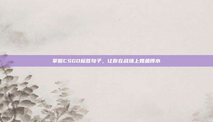 掌握CSGO标签句子,让你在战场上如鱼得水