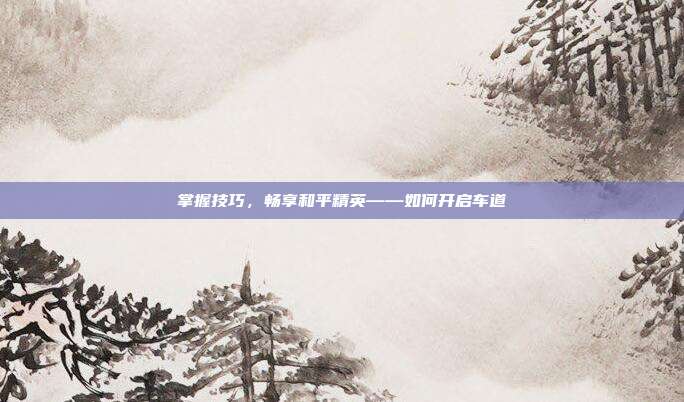 掌握技巧，畅享和平精英——如何开启车道