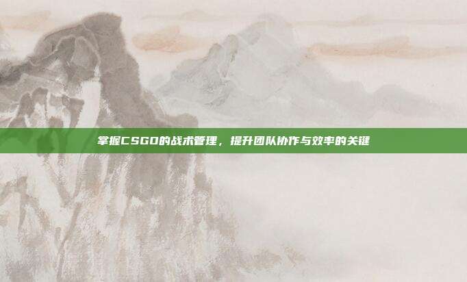 掌握CSGO的战术管理,提升团队协作与效率的关键