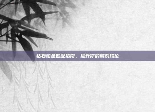 钻石铂金匹配指南,提升你的游戏段位
