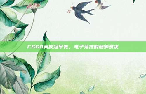 CSGO高校冠军赛,电子竞技的巅峰对决
