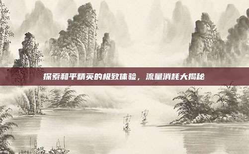 探索和平精英的极致体验,流量消耗大揭秘