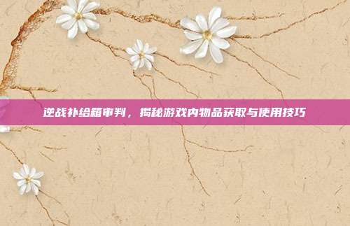 逆战补给箱审判,揭秘游戏内物品获取与使用技巧