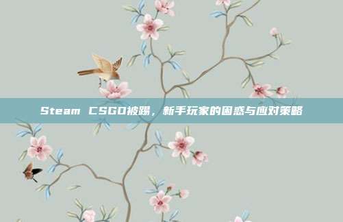 Steam CSGO被踢，新手玩家的困惑与应对策略