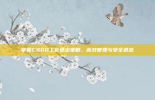 掌握CSGO工会退出策略，高效管理与安全退出
