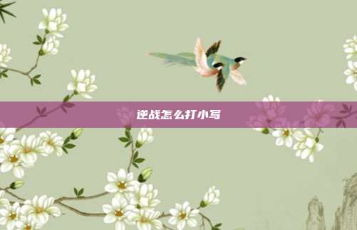 逆战怎么打小写