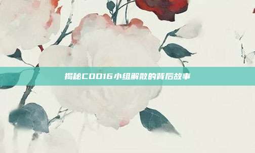 揭秘COD16小组解散的背后故事
