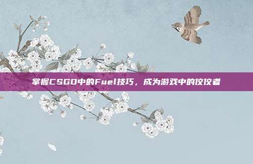 掌握CSGO中的Fuel技巧，成为游戏中的佼佼者