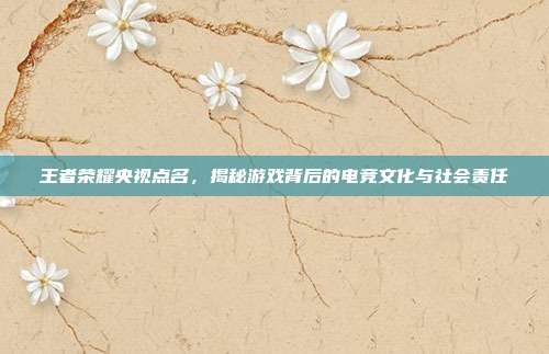 王者荣耀央视点名，揭秘游戏背后的电竞文化与社会责任