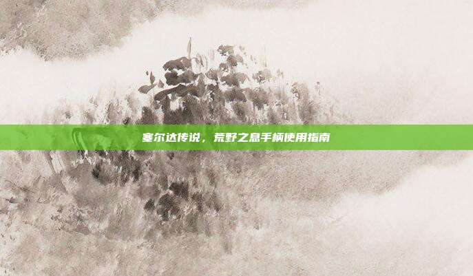塞尔达传说，荒野之息手柄使用指南