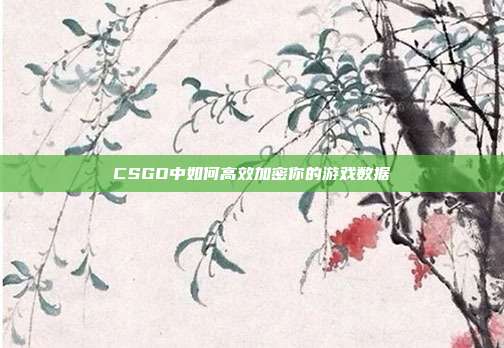 CSGO中如何高效加密你的游戏数据
