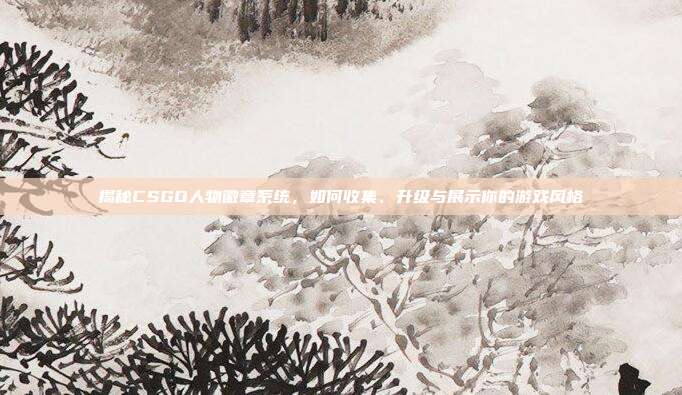 揭秘CSGO人物徽章系统，如何收集、升级与展示你的游戏风格