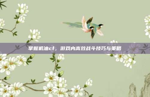 掌握机油cf,游戏内高效战斗技巧与策略