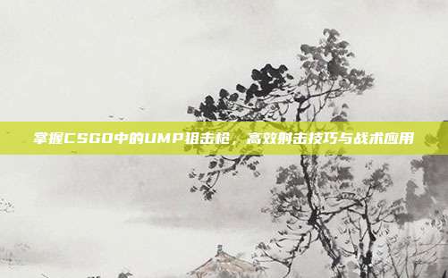 掌握CSGO中的UMP狙击枪，高效射击技巧与战术应用