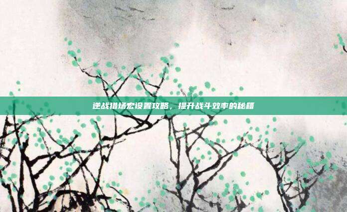 逆战猎场宏设置攻略,提升战斗效率的秘籍