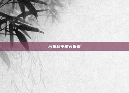 阿布和平精英采访