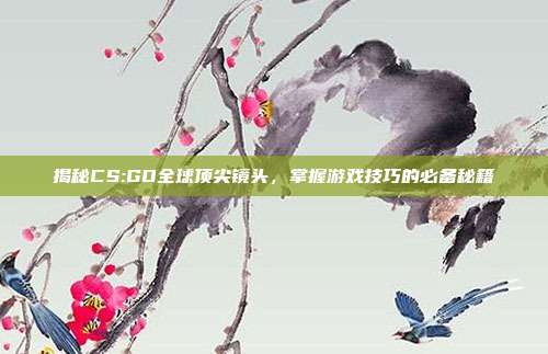 揭秘CS:GO全球顶尖镜头，掌握游戏技巧的必备秘籍