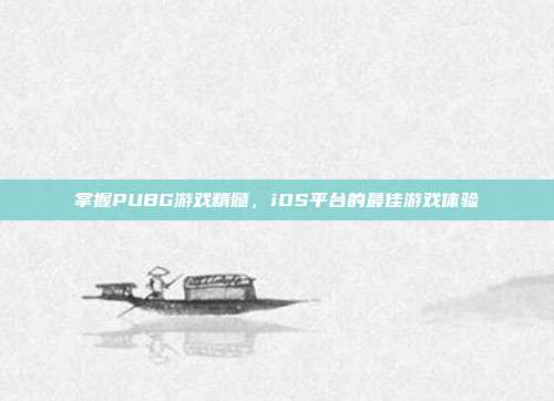掌握PUBG游戏精髓,iOS平台的最佳游戏体验