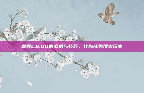 掌握CS:GO的战术与技巧,让你成为顶尖玩家