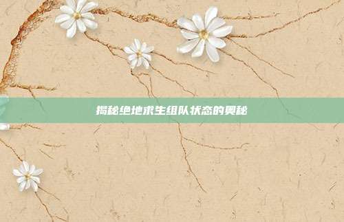 揭秘绝地求生组队状态的奥秘