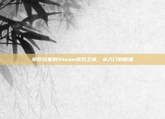 初阶玩家的Steam游戏之旅，从入门到精通