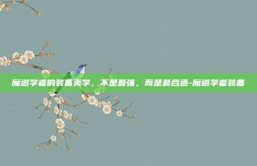 魔道学者的装备美学，不是最强，而是最合适-魔道学者装备