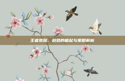 王者荣耀,寂然的崛起与策略解析