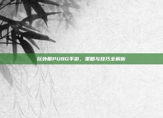 玩外服PUBG手游,策略与技巧全解析