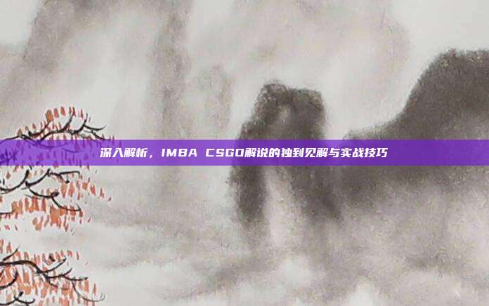 深入解析，IMBA CSGO解说的独到见解与实战技巧