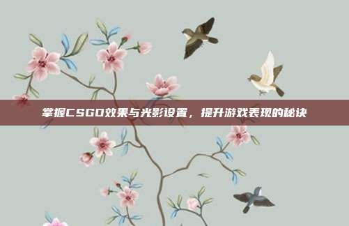掌握CSGO效果与光影设置，提升游戏表现的秘诀
