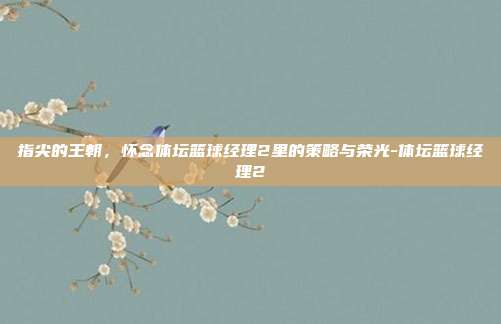 指尖的王朝，怀念体坛篮球经理2里的策略与荣光-体坛篮球经理2