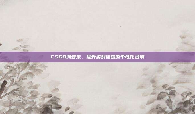 CSGO调音乐，提升游戏体验的个性化选项