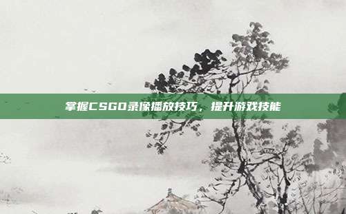 掌握CSGO录像播放技巧,提升游戏技能