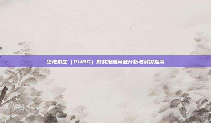 绝地求生（PUBG）游戏报错问题分析与解决指南
