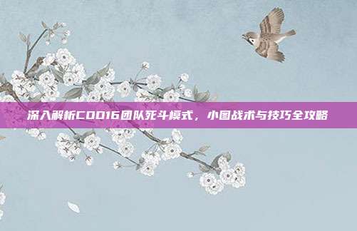 深入解析COD16团队死斗模式，小图战术与技巧全攻略