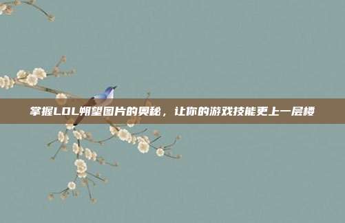 掌握LOL朔望图片的奥秘，让你的游戏技能更上一层楼