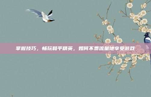 掌握技巧,畅玩和平精英,如何不费流量地享受游戏