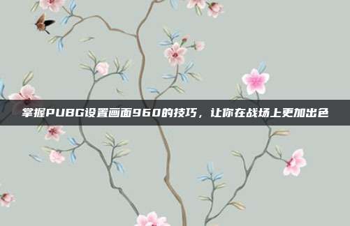 掌握PUBG设置画面960的技巧，让你在战场上更加出色
