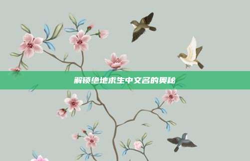 解锁绝地求生中文名的奥秘
