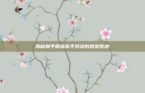 揭秘和平精英高手对决的观赏胜地
