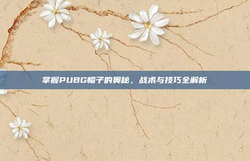 掌握PUBG帽子的奥秘,战术与技巧全解析