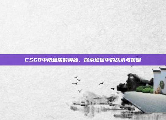 CSGO中防爆盾的奥秘,探索地图中的战术与策略