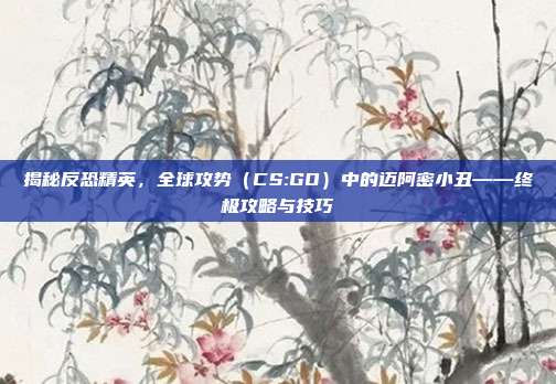 揭秘反恐精英,全球攻势(CS:GO)中的迈阿密小丑——终极攻略与技巧