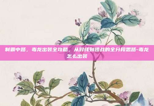 制霸中路，毒龙出装全攻略，从对线到团战的全分段思路-毒龙怎么出装