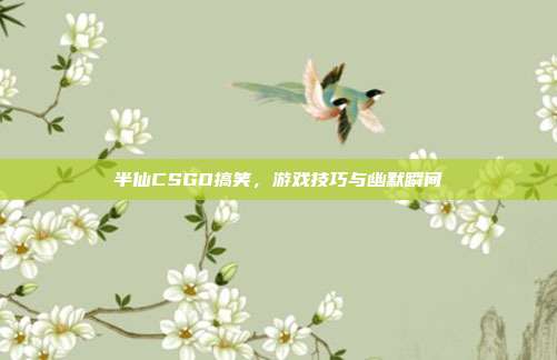 半仙CSGO搞笑,游戏技巧与幽默瞬间