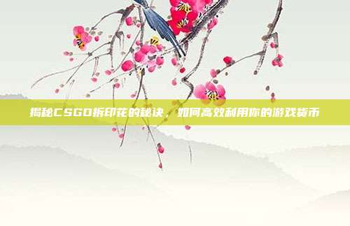 揭秘CSGO拆印花的秘诀，如何高效利用你的游戏货币